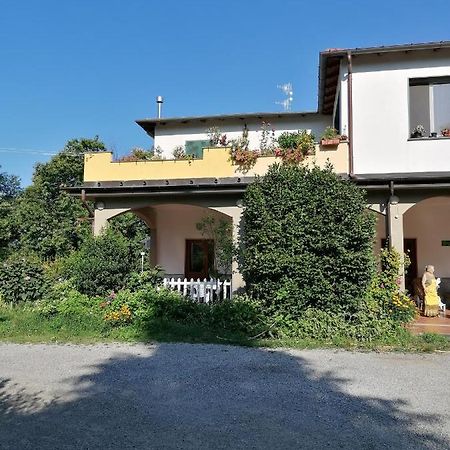 Le Camelie Villa Polverara Bagian luar foto