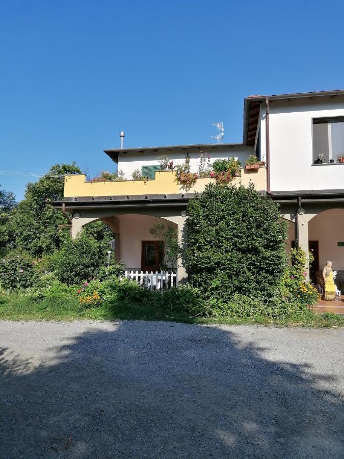 Le Camelie Villa Polverara Bagian luar foto