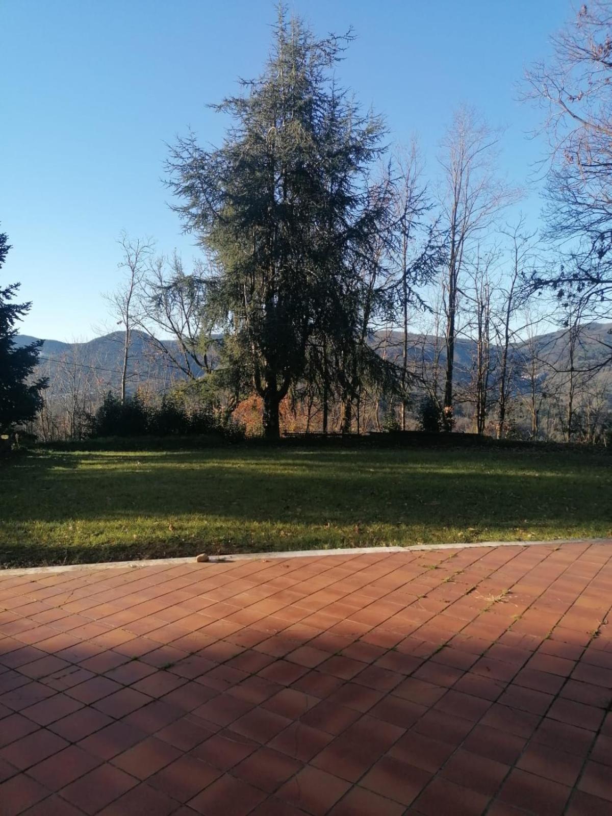 Le Camelie Villa Polverara Bagian luar foto