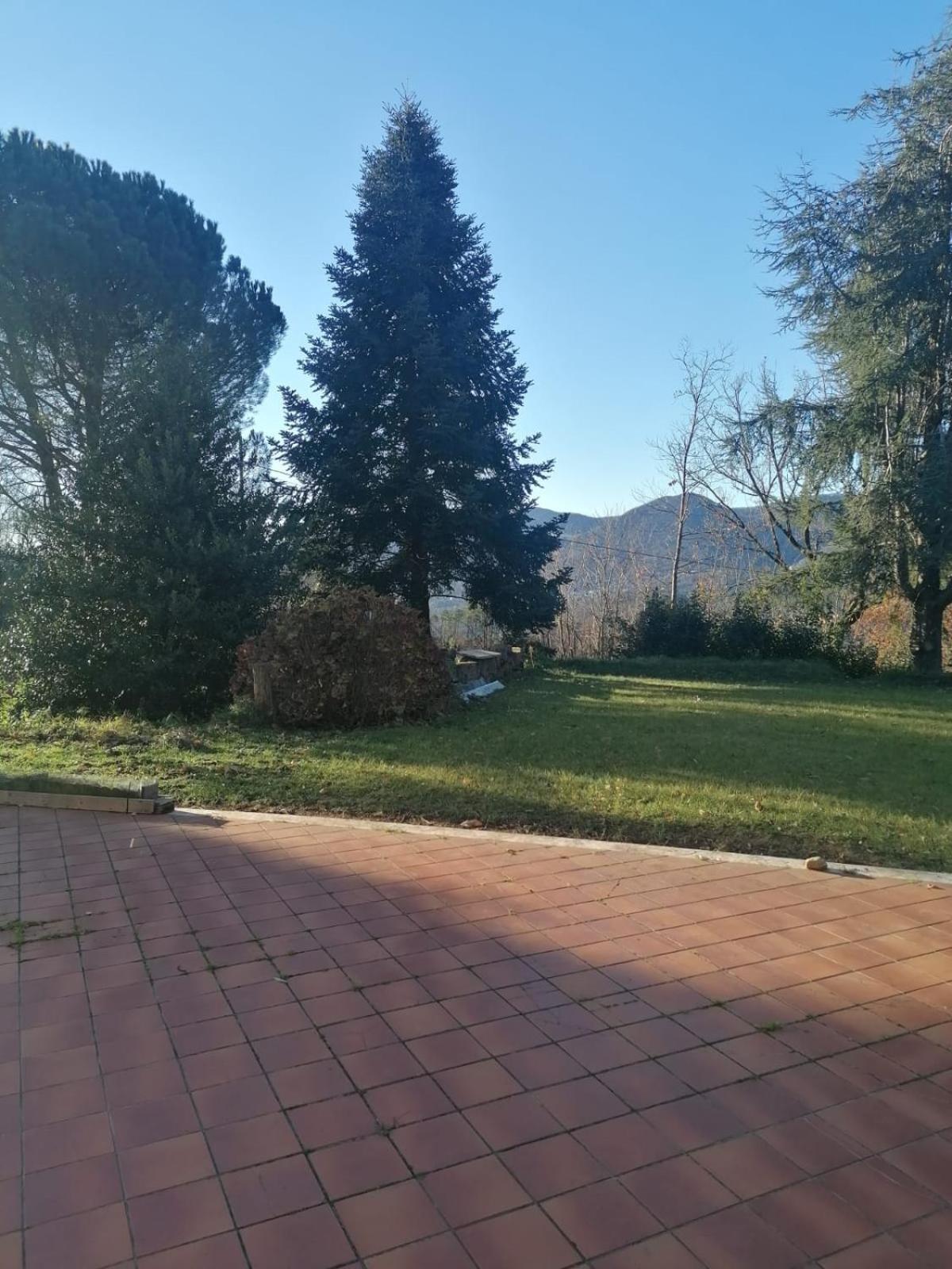 Le Camelie Villa Polverara Bagian luar foto
